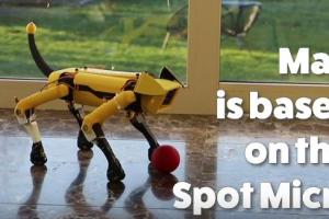 Max: Arduino Micro Spot Robot Dog