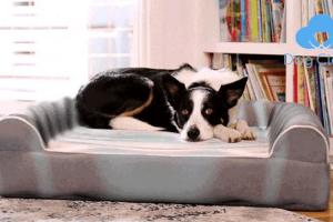 Dog Cloud Bed: Smart Therapeutic Massage Dog Bed