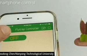 Smartphone Controlled Venus Flytrap Robot