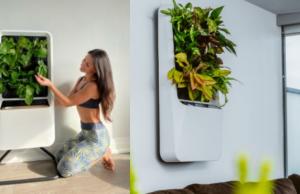 Respira: Air Purifying Smart Garden