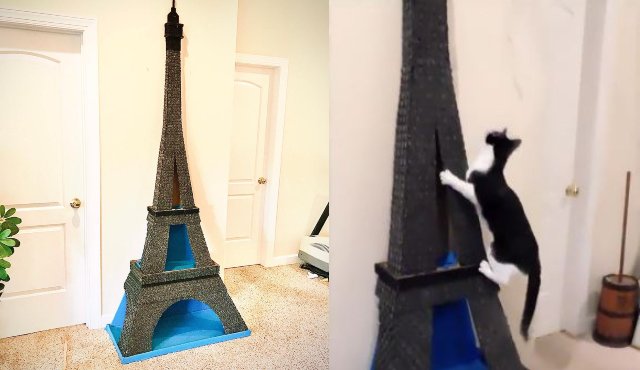 Eiffel tower cat tree 2025