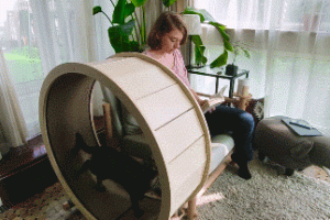 Catham.City LoveSeat: Chair + Cat Exercise Wheel