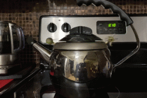 Kamenstein Spinning Rocket Kettle