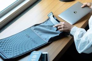 Lewis N. Clark Safebox: Portable Slash Resistant Beach Safe