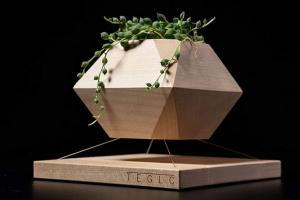 TEGLC Levitating Wooden Planter