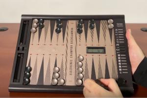 Saitek Electronic Champion Backgammon Computer