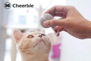 Cheerble Automatic Ball for Cats