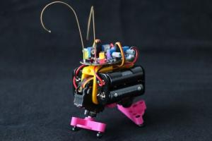 Bakiwi DIY Walking Robot Kit