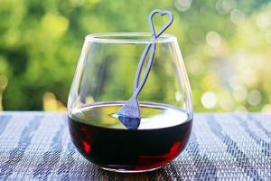 Wand Wine Filter Prevents Wine Headaches