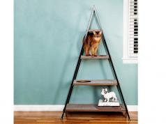 Whisker Cat Pyramid