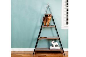 Whisker Cat Pyramid