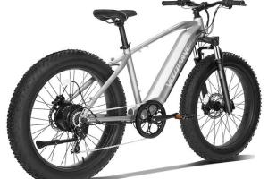 VELOWAVE Fat Tire Electric Bike