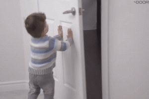 DOORWING Door Lock and Finger Guard