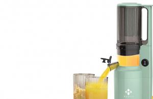 HAMIIS Slow Masticating Fruit Juicer