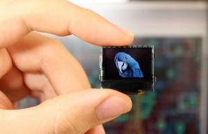 Pocuter: Coin Sized 12-in-1 WiFi/Bluetooth Microcomputer