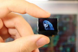 Pocuter: Coin Sized 12-in-1 WiFi/Bluetooth Microcomputer