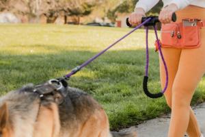 Ergo 2-Handed Dog Leash