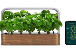 edn SmallGarden with App Control: Grow Your Food Indoors