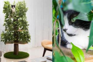 On2Pets Interchangeable Leaves Cat Tree