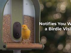 BirdieCamera: Smart Bird Feeder with AI Recognition with AI