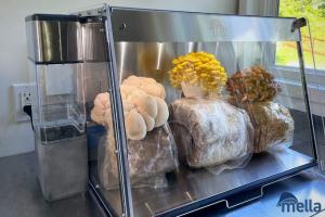 Mella: Smart Indoor Mushroom Farm
