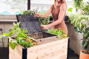 Modbed: Urban Gardening System Powered by Food Waste