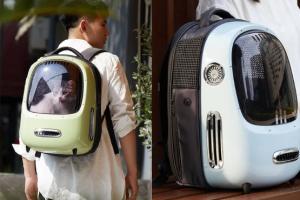 PETKIT Breezy Dome Ventilated Pet Backpack with Light & Fan