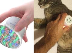 LumaSoothe Light Therapy Pain Relief Device for Pets
