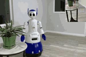 Sulla 4-foot AI Robot with Machine Learning