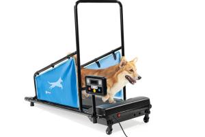 LifePro Paw Runner Dog Treadmill