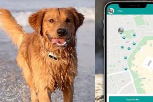 Link GPS Dog Tracker & Activity Monitor