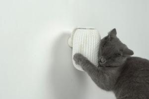 Groomatic Automatic Cat Brush