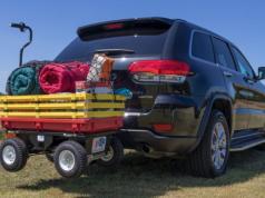 Buffalo Cart: Electric-powered Cart