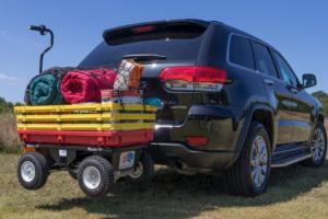 Buffalo Cart: Electric-powered Cart