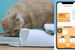 Hunting Game Box with App: Indoor Hunting for Cats