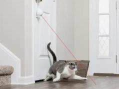 PetSafe Dancing Dot Automatic Doorknob Cat Laser Toy