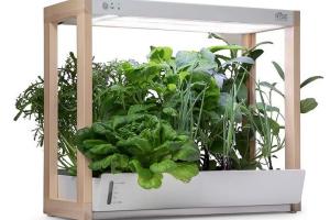 Rise Gardens WiFi & App Controlled Personal Garden