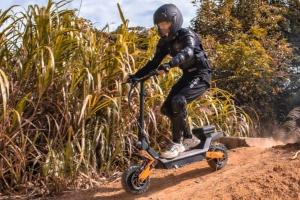 Fiido Beast Electric Scooter (30mph)