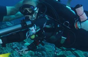 Subnado: Smallest Portable Underwater Scooter?