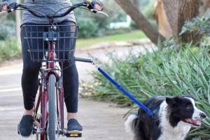 Malabi V2.0 EasyRide Dog Bike Leash