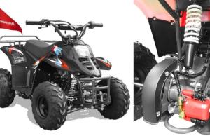 Offroad Mall REX 110cc ATV For Kids