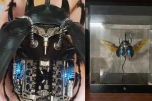 Steampunk V8 Beetle Kinetic Art