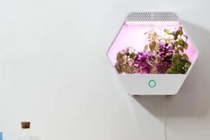 Linfa Weezy App Controlled Grow Box for Tomatoes, Cannabis