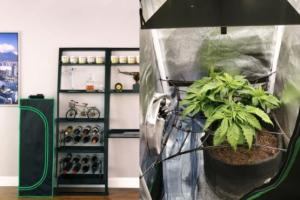Canopy Mate App Connected Indoor Garden