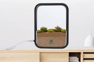 Nowrawell Water/Soil Indoor Herb Garden