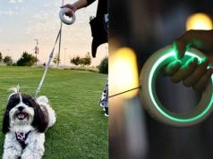 UFO Retractable Dog Leash with RGB Lights