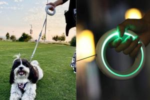 UFO Retractable Dog Leash with RGB Lights