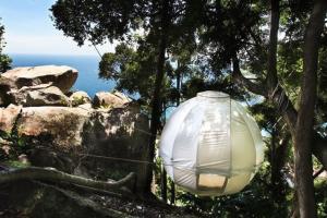 DomeSpaces Treehouse Dome (13ft)