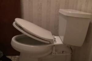 Flush Down: Automatic Toilet Closer