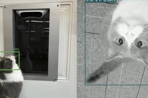 Petvation Automatic Dog & Cat Door with Facial Recognition & App Control